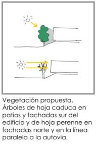 vegetacion-fachadas-sur