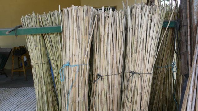 caaa-abierta-para-caaizo